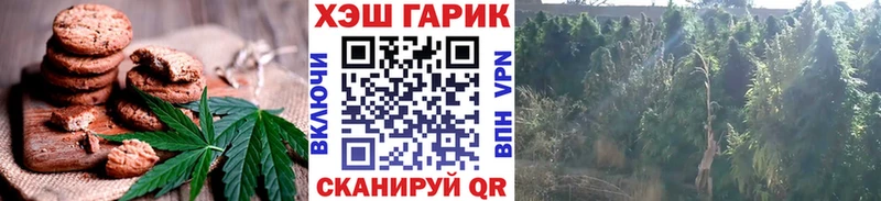 как найти закладки  Братск  Печенье с ТГК конопля 