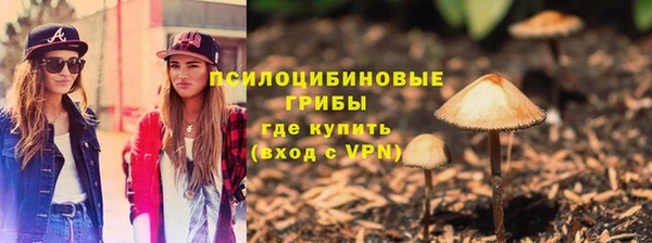 мет Абаза