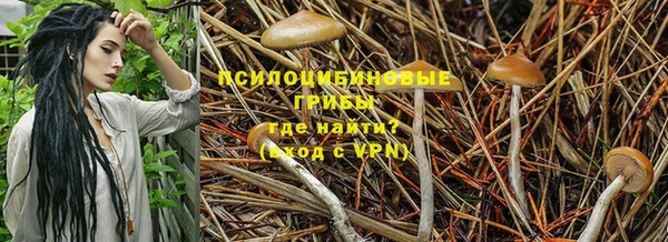 индика Абдулино